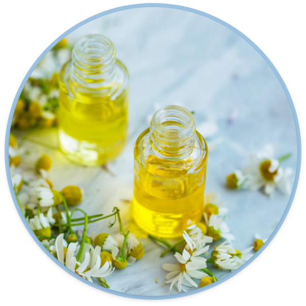 Piante usate per la fitoterapia
